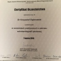 Powiększ obraz: certificate 12