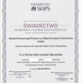 Powiększ obraz: certificate 1