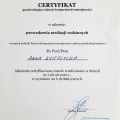 Powiększ obraz: certificate 3