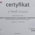 Powiększ obraz: certificate 9