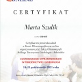 Powiększ obraz: certificate 4