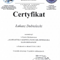 Powiększ obraz: certificate 7