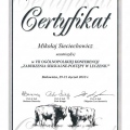 Powiększ obraz: certificate 8