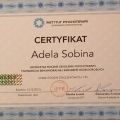 Powiększ obraz: certificate 3
