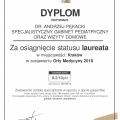 Powiększ obraz: certificate 12
