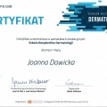Powiększ obraz: certificate 29