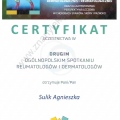Powiększ obraz: certificate 5