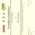Powiększ obraz: certificate 8