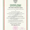 Powiększ obraz: certificate 2