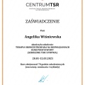 Powiększ obraz: certificate 2