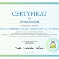Powiększ obraz: certificate 49