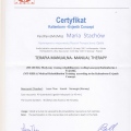 Powiększ obraz: certificate 14