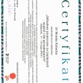 Powiększ obraz: certificate 19