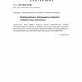 Powiększ obraz: certificate 6