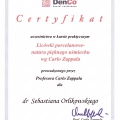 Powiększ obraz: certificate 1