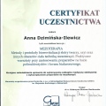 Powiększ obraz: certificate 10