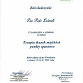 Powiększ obraz: certificate 5