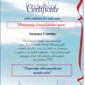 Powiększ obraz: certificate 23