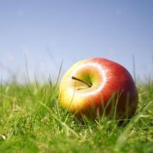 Dietosfera - Poradnia Dietetyczna