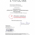 Powiększ obraz: certificate 2