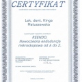 Powiększ obraz: certificate 2