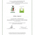 Powiększ obraz: certificate 22