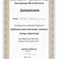 Powiększ obraz: certificate 24