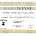 Powiększ obraz: certificate 6
