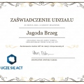 Powiększ obraz: certificate 5
