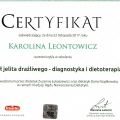 Powiększ obraz: certificate 10