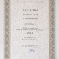 Powiększ obraz: certificate 13