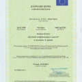 Powiększ obraz: certificate 12