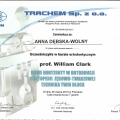 Powiększ obraz: certificate 10