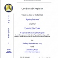 Powiększ obraz: certificate 1