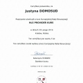 Powiększ obraz: certificate 2