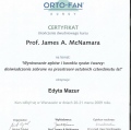 Powiększ obraz: certificate 12