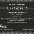 Powiększ obraz: certificate 3