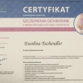 Powiększ obraz: certificate 8