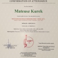 Powiększ obraz: certificate 6