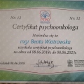Powiększ obraz: certificate 1