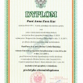 Powiększ obraz: certificate 2