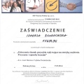 Powiększ obraz: certificate 4