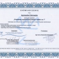 Powiększ obraz: certificate 2