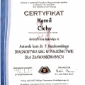Powiększ obraz: certificate 7