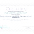 Powiększ obraz: certificate 7