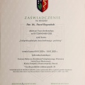 Powiększ obraz: certificate 1