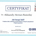 Powiększ obraz: certificate 6