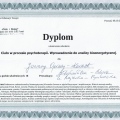 Powiększ obraz: certificate 2