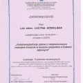 Powiększ obraz: certificate 11