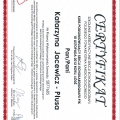 Powiększ obraz: certificate 3